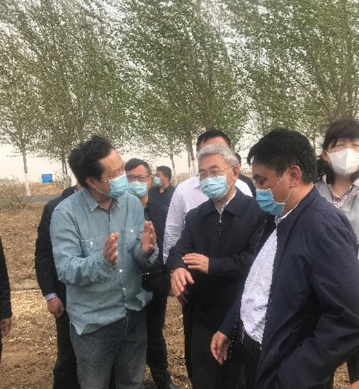 国家农业农村部副部长张桃林调研黑土保护性耕作新模式